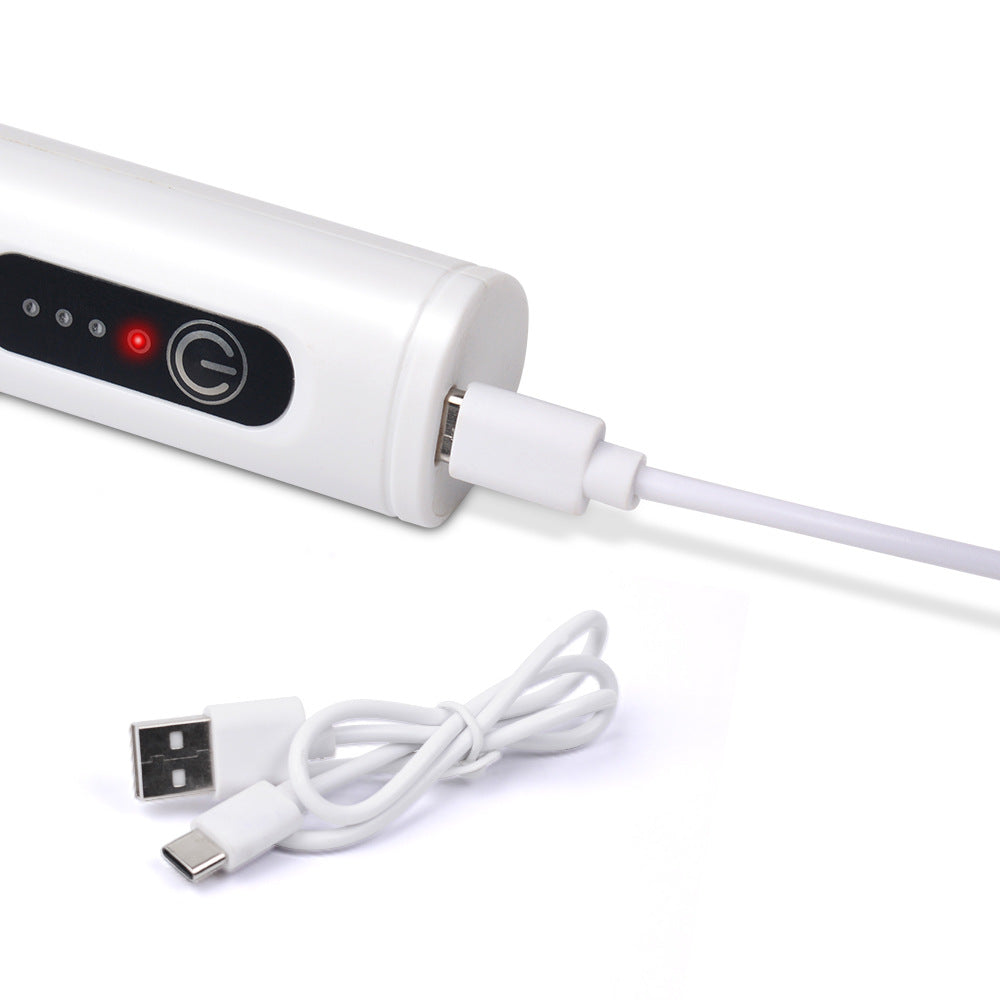 Fouet électrique rechargeable