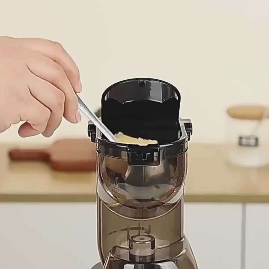 Extracteur de jus RAF
